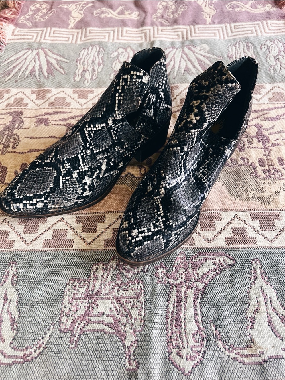 Volatile Black & White Snake-Print Ankle Boots